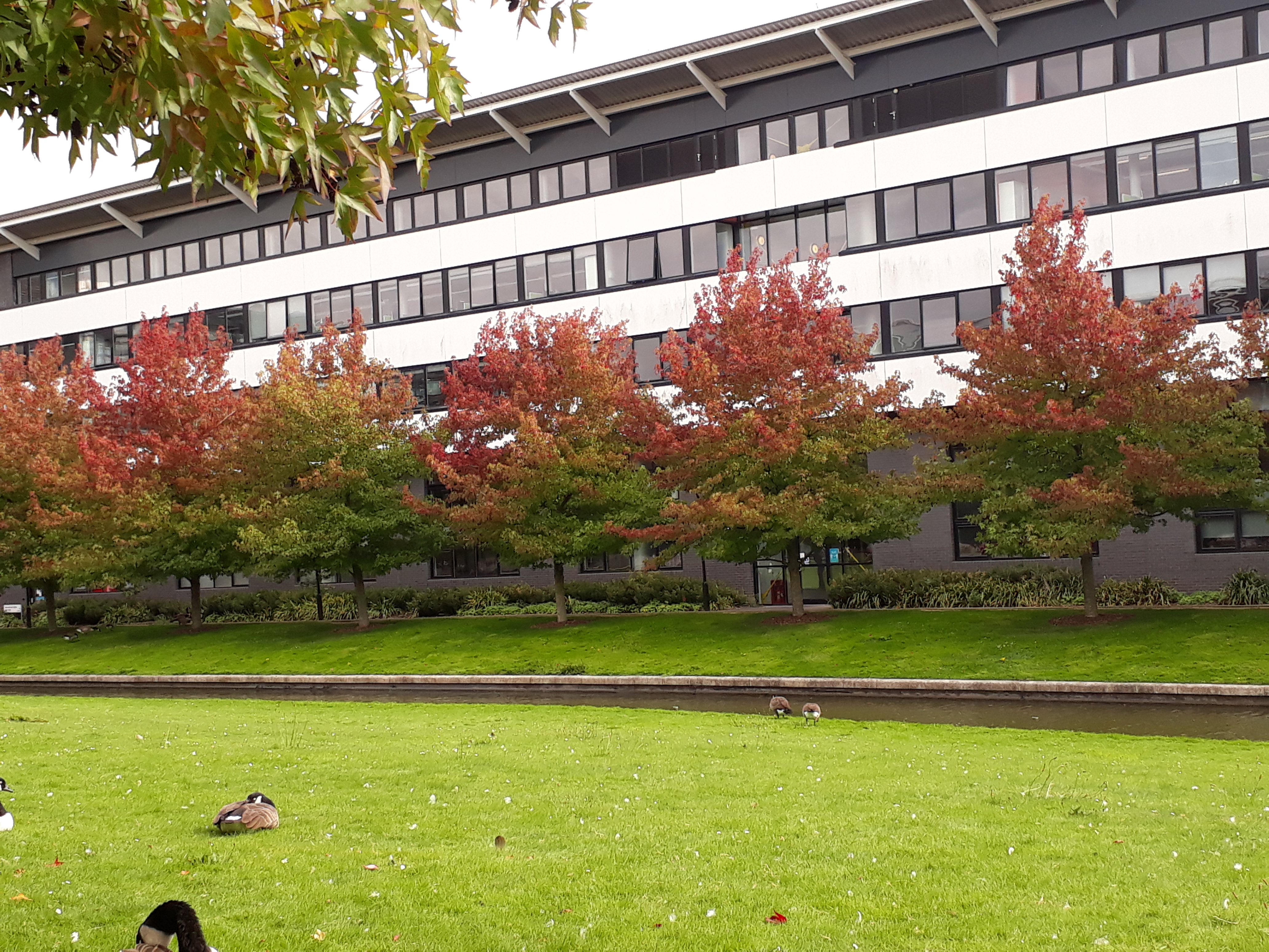 warwick campus in autumn